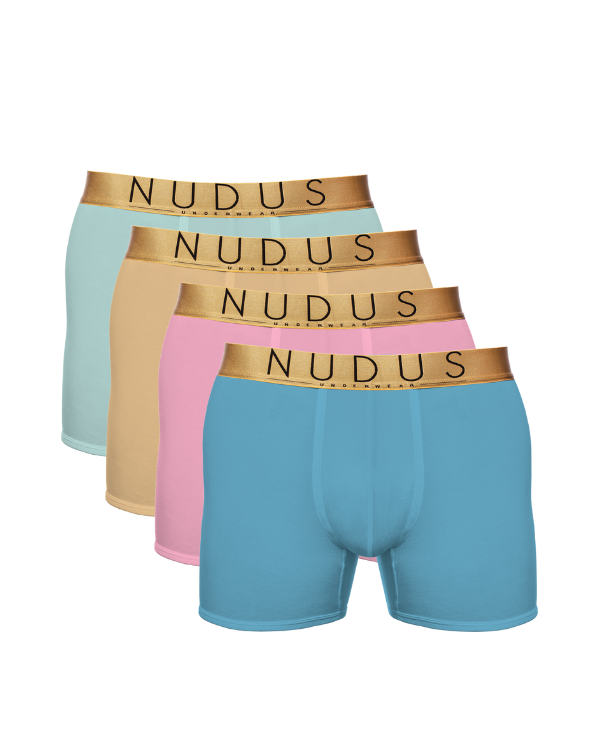NUDUS Men's Bamboo Boxer Briefs - Double Pouch - Pack of 4 - Gift Box