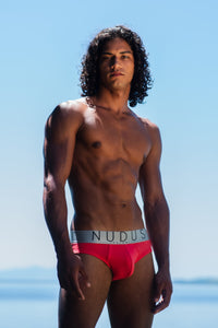 NUDUS Men's Cotton Briefs - Pack of 4 - Gift Box