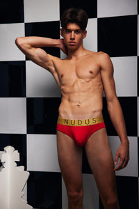 NUDUS Men's Bamboo Briefs - Double Pouch - Pack of 4 - Gift Box