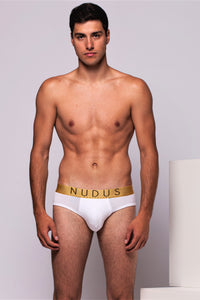 NUDUS Men's Bamboo Briefs - Double Pouch - Pack of 4 - Gift Box