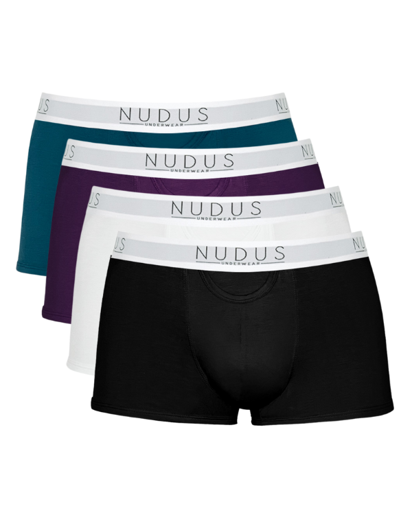 NUDUS Men's Bamboo Trunks - Fly Opening - Pack of 4 - Gift Box