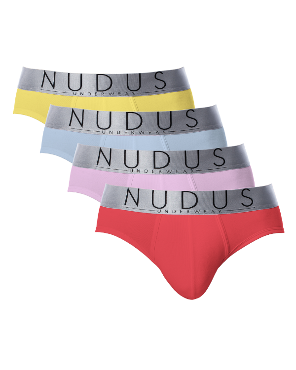 NUDUS Men's Cotton Briefs - Pack of 4 - Gift Box