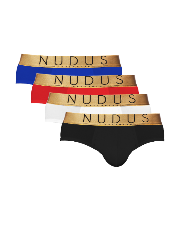 NUDUS Men's Bamboo Briefs - Double Pouch - Pack of 4 - Gift Box