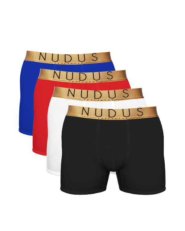 NUDUS Men's Bamboo Boxer Briefs - Double Pouch - Pack of 4 - Gift Box