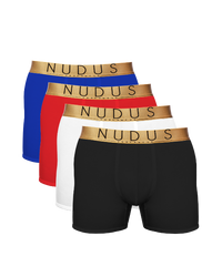 NUDUS Men's Bamboo Boxer Briefs - Double Pouch - Pack of 4 - Gift Box