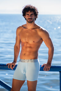 NUDUS Men's Cotton Boxer Briefs - Pack of 4 - Gift Box