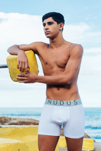 NUDUS Men's Cotton Boxer Briefs - Pack of 4 - Gift Box